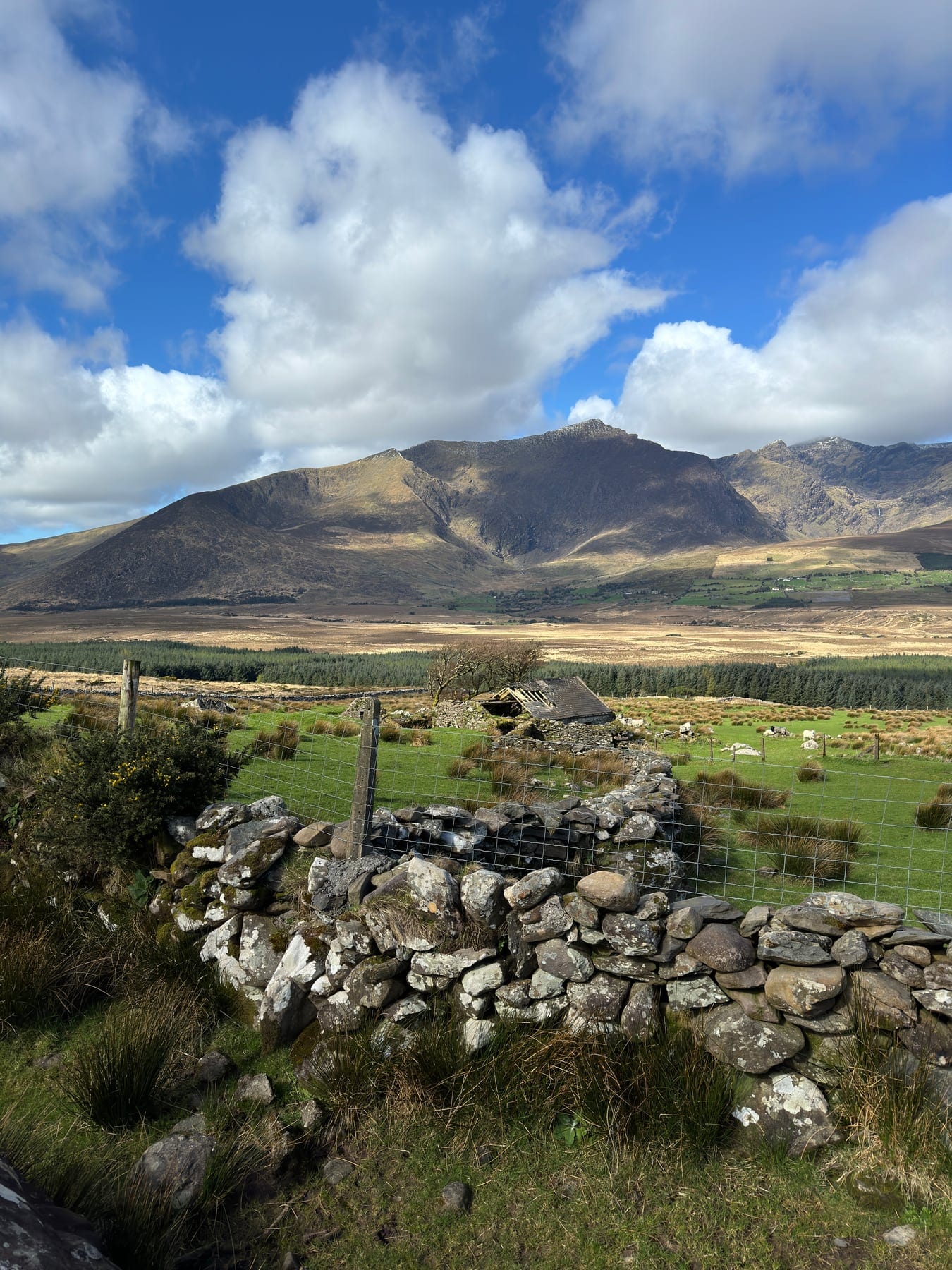 Stone walls and fields beneath the Brandon mountains