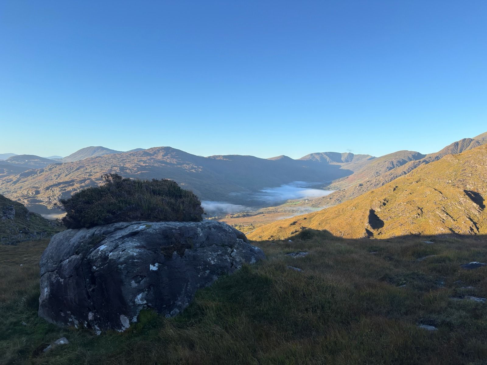 A large boulder topped with heather on the hillside, with mist in the valley beyond