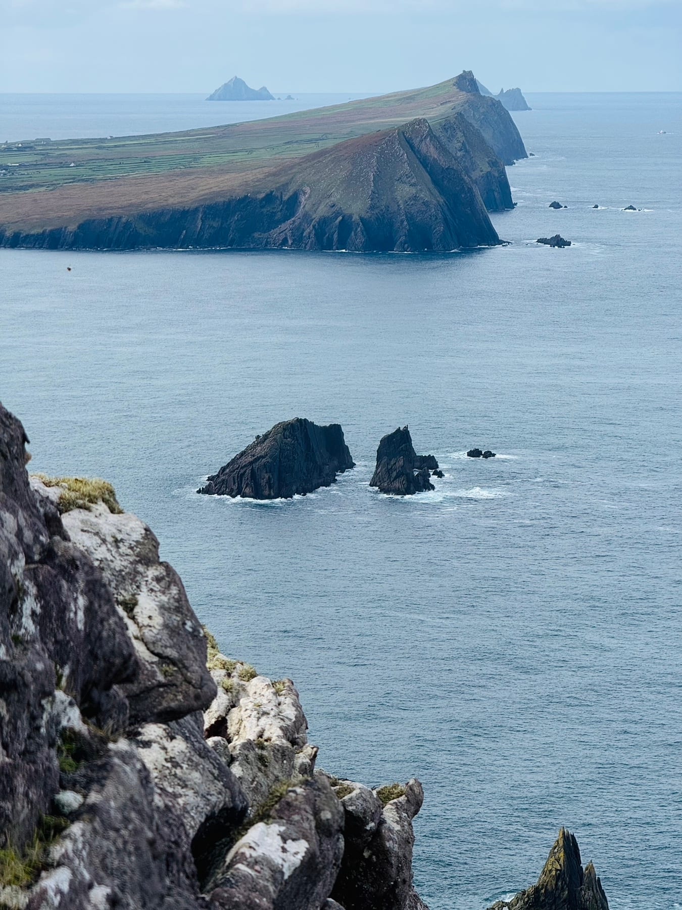 A narrow walking line through the coastal landscape