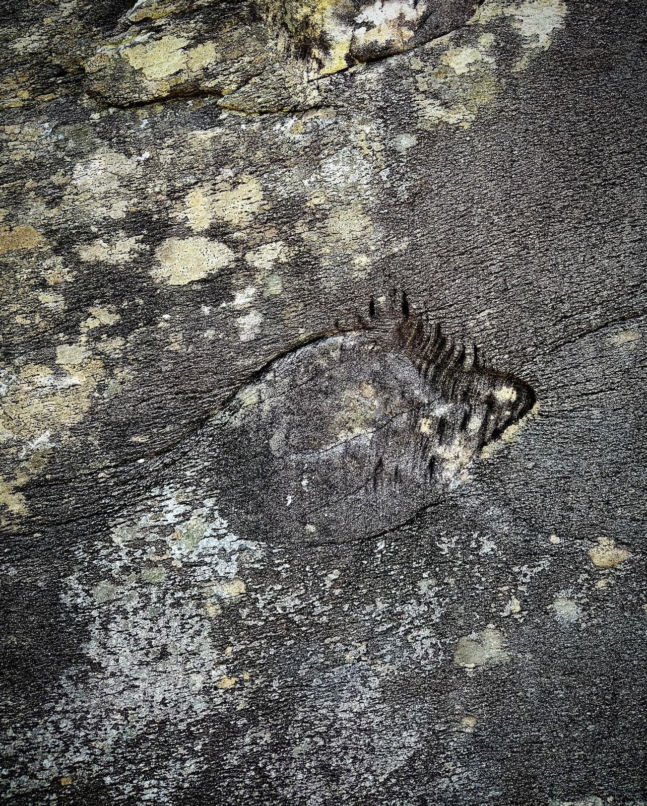 Close detail of carved markings on the rock at Leaba na Bó
