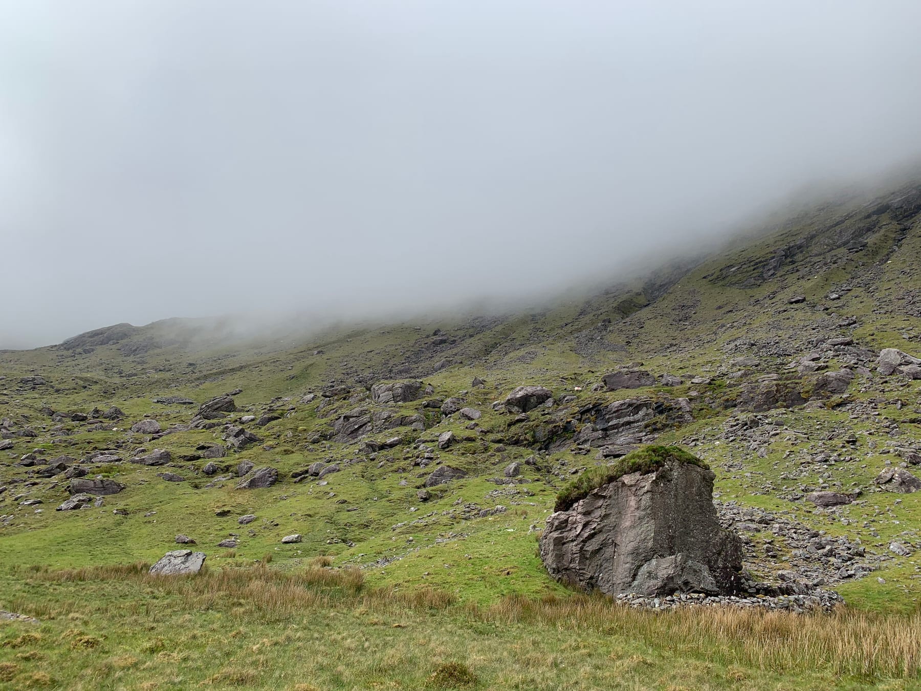 The green and rocky Black Ladder gully disappearing into cloud