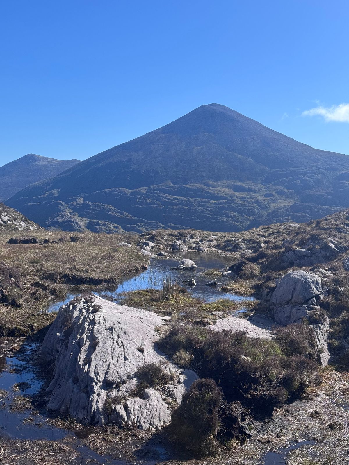 Small pools among rock and rough grass beneath the mountain