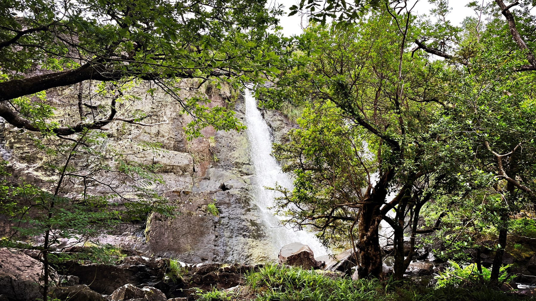 The narrow upper fall framed by mature woodland