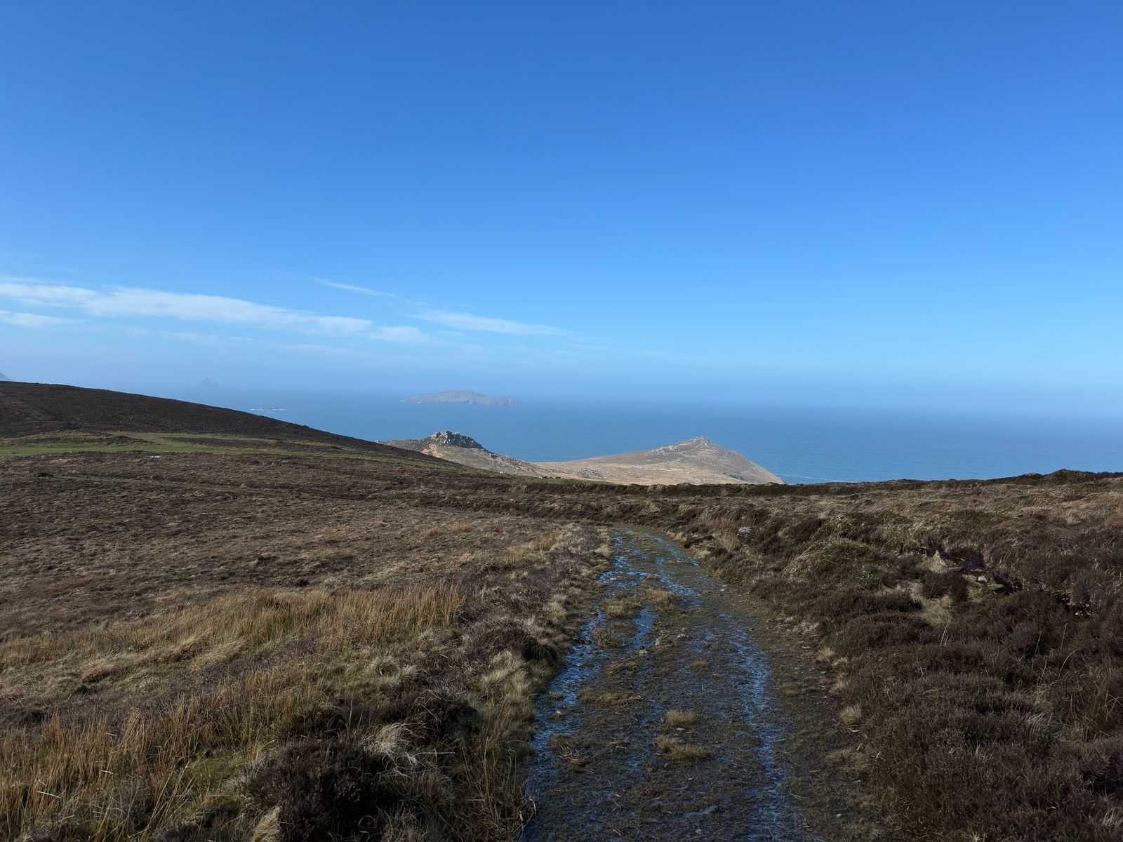 A wet stony track crossing open hillside with headlands and blue sea beyond