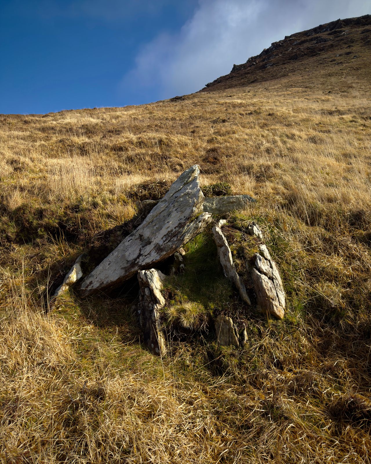 Angular rock slabs emerging from golden grass below a rocky slope