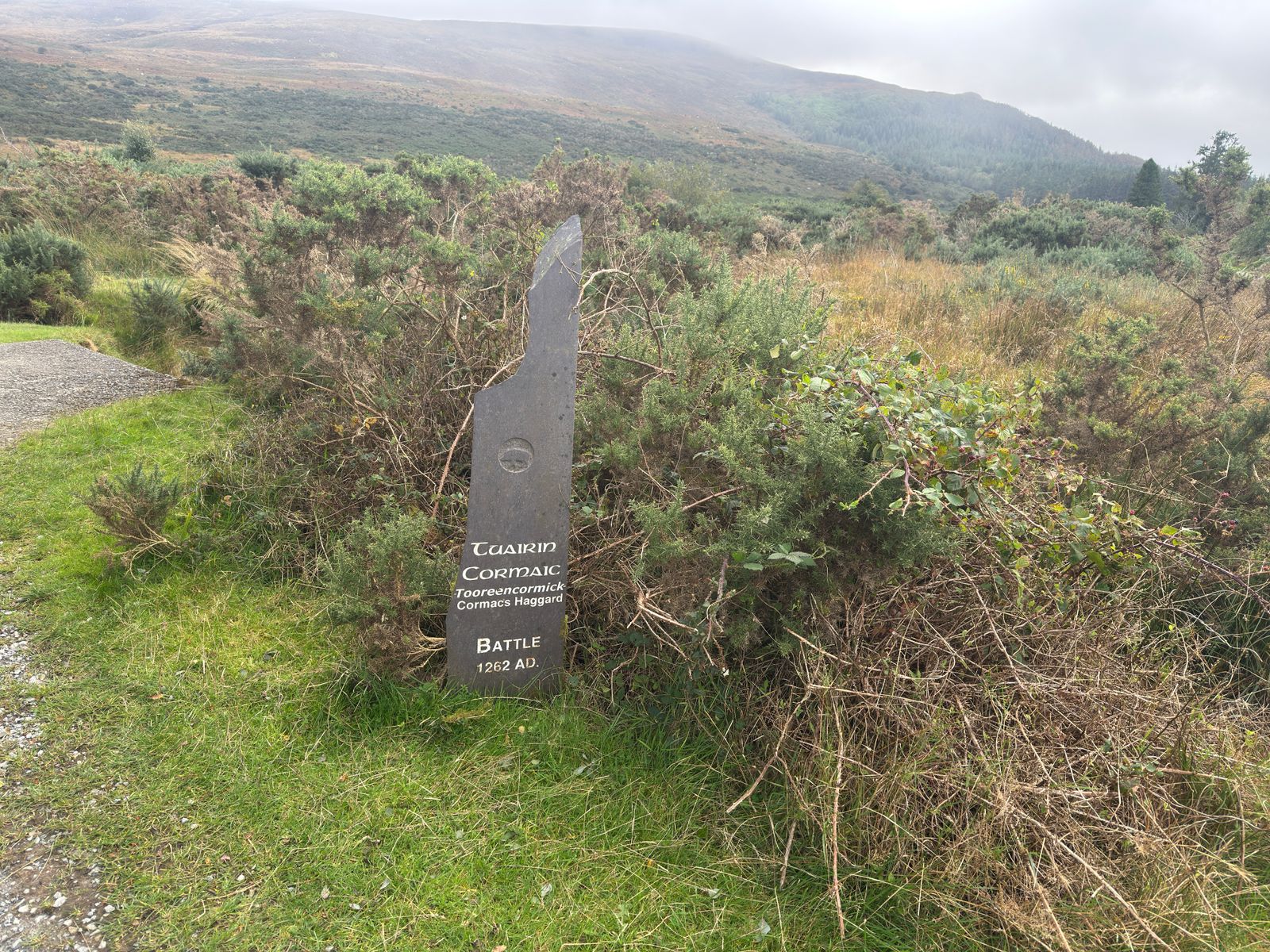 The Tooreencormick memorial among bracken, inscribed Battle 1262 AD