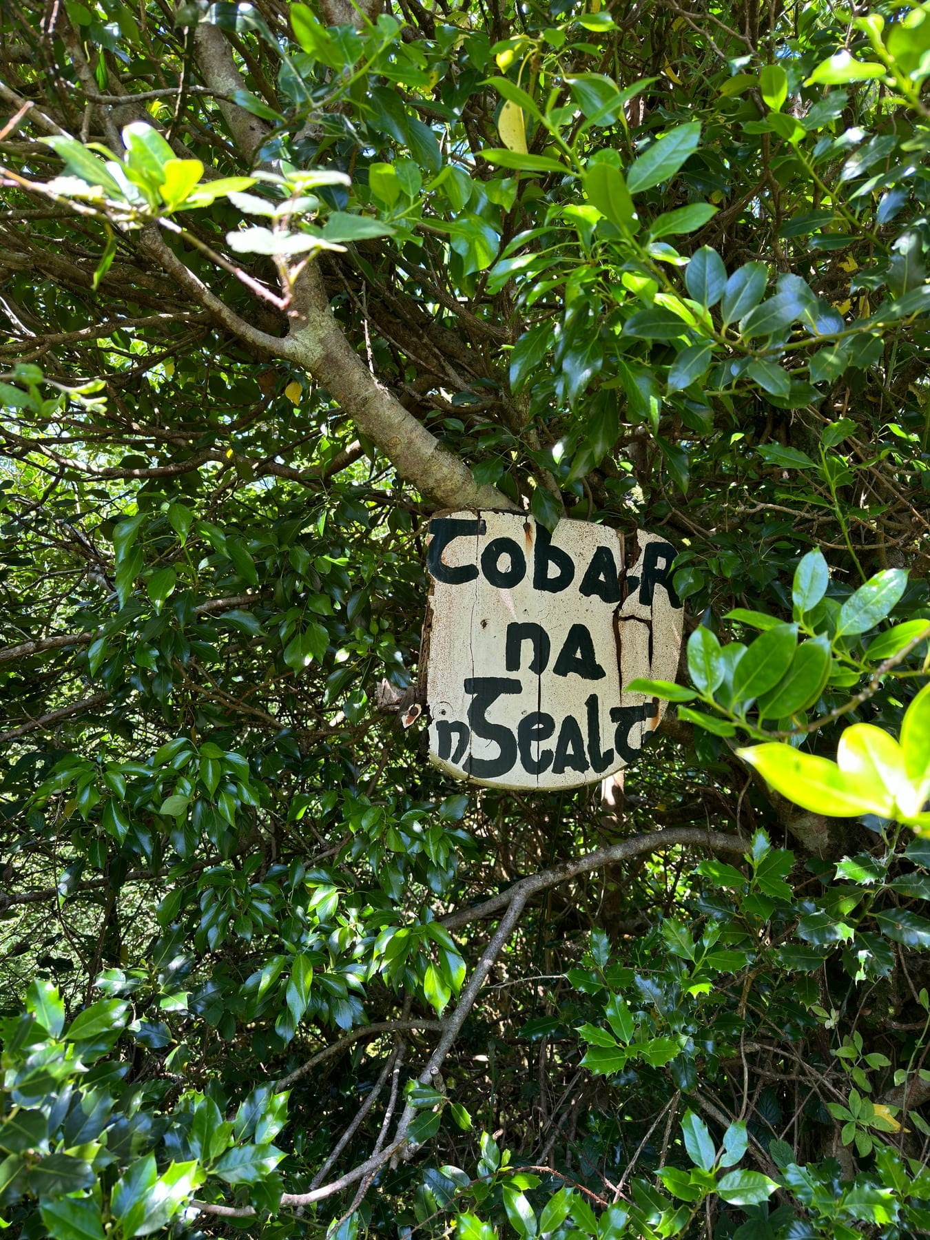 A handmade sign carrying the Irish placename Tobar na nGealt